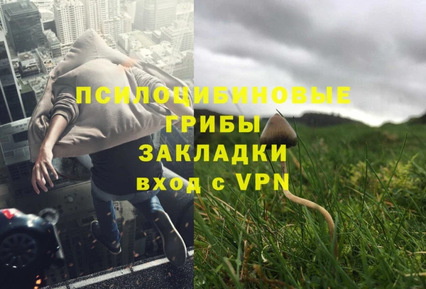 дурь Абинск