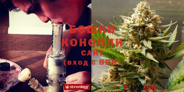ГАЛЛЮЦИНОГЕННЫЕ ГРИБЫ Абаза
