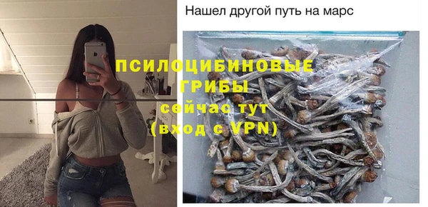 ГАЛЛЮЦИНОГЕННЫЕ ГРИБЫ Абаза