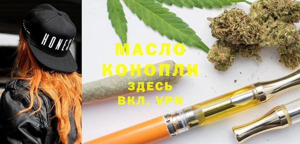 индика Рославль