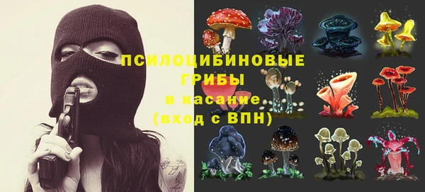 дурь Абинск